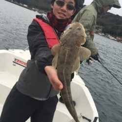 「LaGooN」蒼陽丸 日和号　 釣果