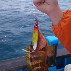 海龍丸 釣果