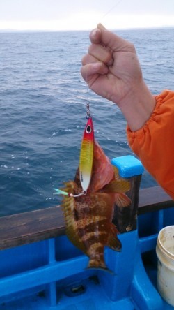 海龍丸 釣果