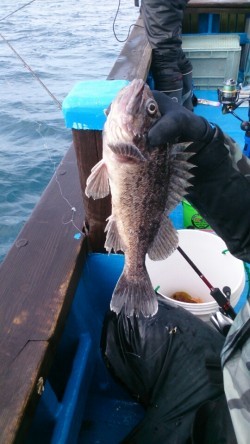 海龍丸 釣果