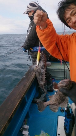 海龍丸 釣果