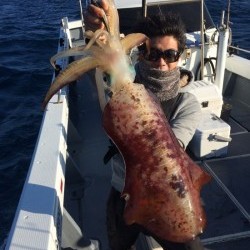 South Current 釣果