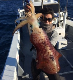 South Current 釣果