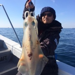 South Current 釣果