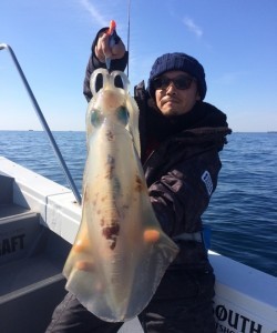 South Current 釣果