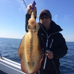 South Current 釣果