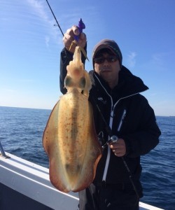 South Current 釣果