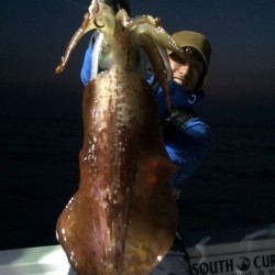 South Current 釣果