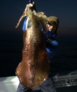 South Current 釣果