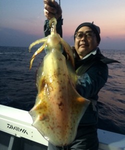 South Current 釣果