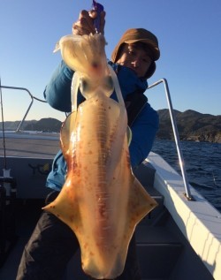 South Current 釣果