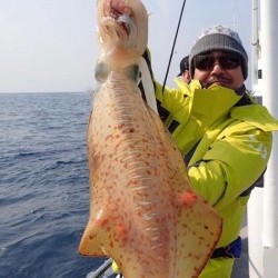 South Current 釣果