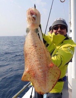 South Current 釣果