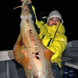 South Current 釣果