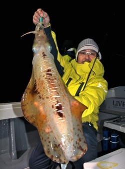 South Current 釣果