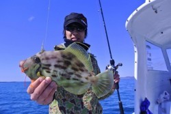 South Current 釣果