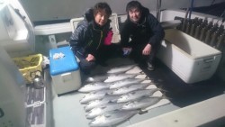 エムズジャーク（M’s JERK） 釣果