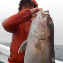 明日丸 釣果
