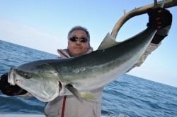 ワープゾーン 釣果