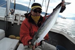 ワープゾーン 釣果