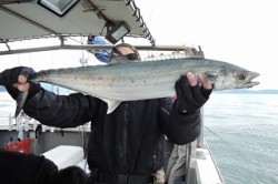 ワープゾーン 釣果