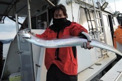 ワープゾーン 釣果