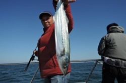 ワープゾーン 釣果