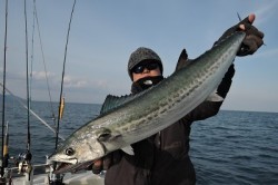 ワープゾーン 釣果