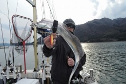 ワープゾーン 釣果