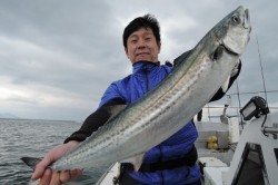 ワープゾーン 釣果