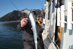 ワープゾーン 釣果