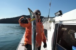 ワープゾーン 釣果