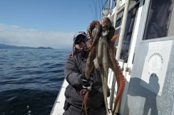 ワープゾーン 釣果