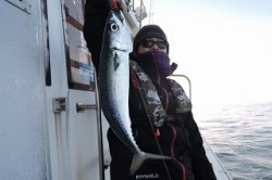 ワープゾーン 釣果