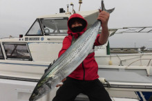 ＪＤＩ　Ｒａｃｉｎｇ　シールズマリンレジャー 釣果