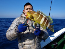 Big One　ビッグワン 釣果