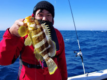 Big One　ビッグワン 釣果