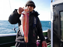 Big One　ビッグワン 釣果