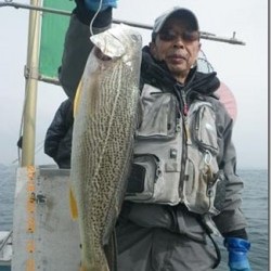 からこと丸 釣果