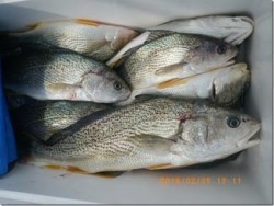 からこと丸 釣果