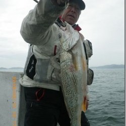 からこと丸 釣果