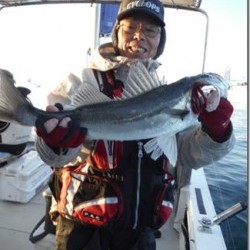 からこと丸 釣果