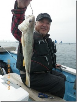 からこと丸 釣果