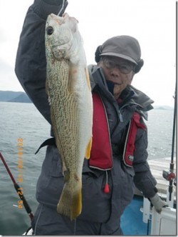 からこと丸 釣果