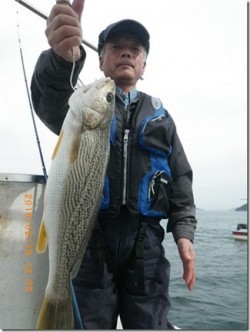 からこと丸 釣果