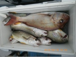 からこと丸 釣果