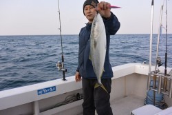 ジギング船 BLUEWATER 釣果