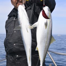 ジギング船 BLUEWATER 釣果