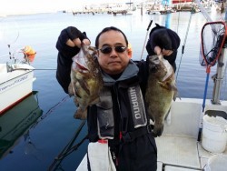 鯛多ニック 釣果