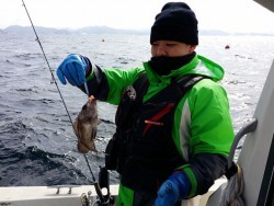 鯛多ニック 釣果